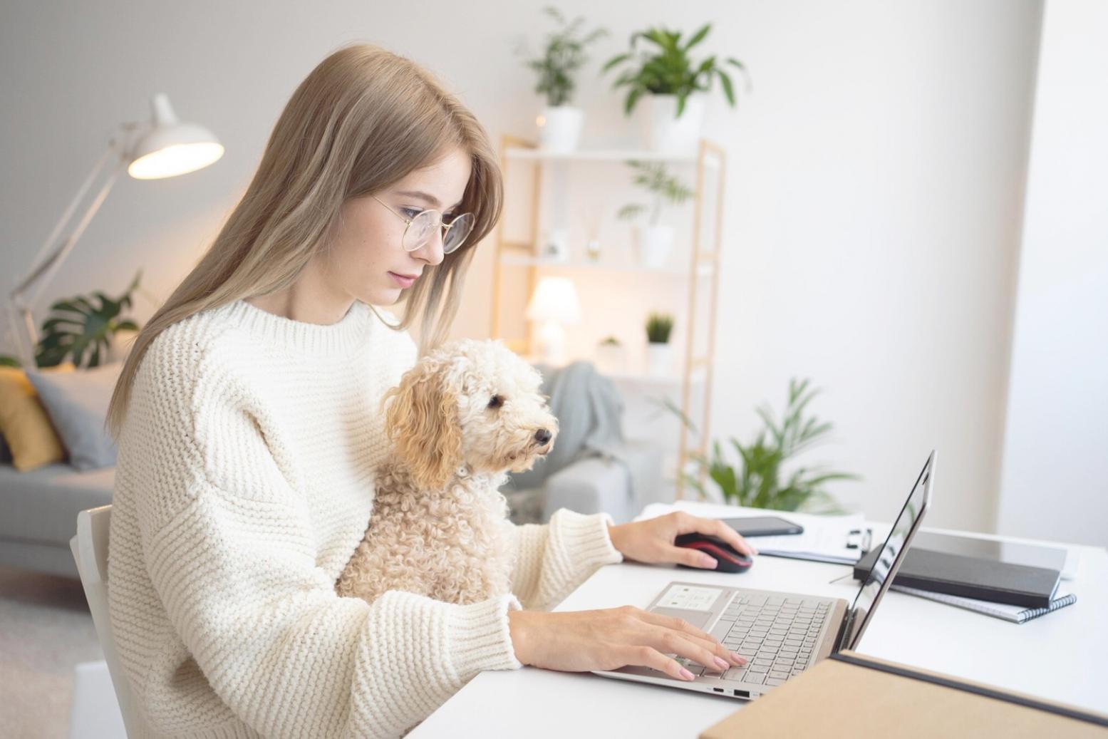 Screenshot of student-built poker game showing advanced card animations and user interface